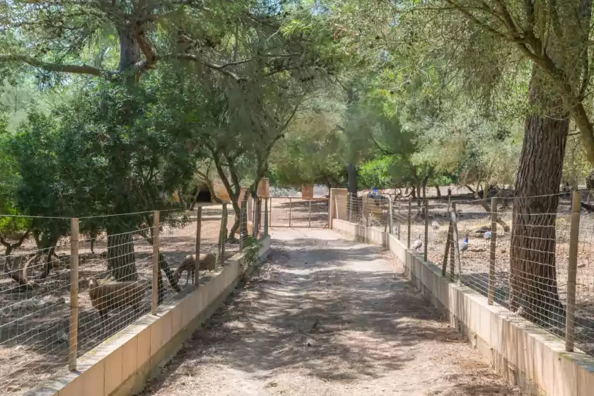 Ferienhaus auf Finca son baulo, Santa Margalida
