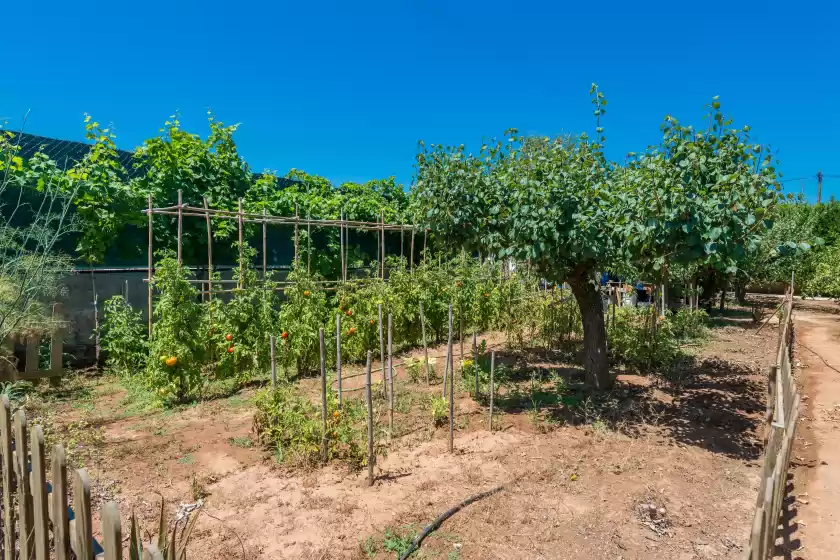 Ferienhaus auf Soratge, Can Picafort