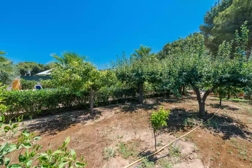 Ferienhaus auf Soratge, Can Picafort