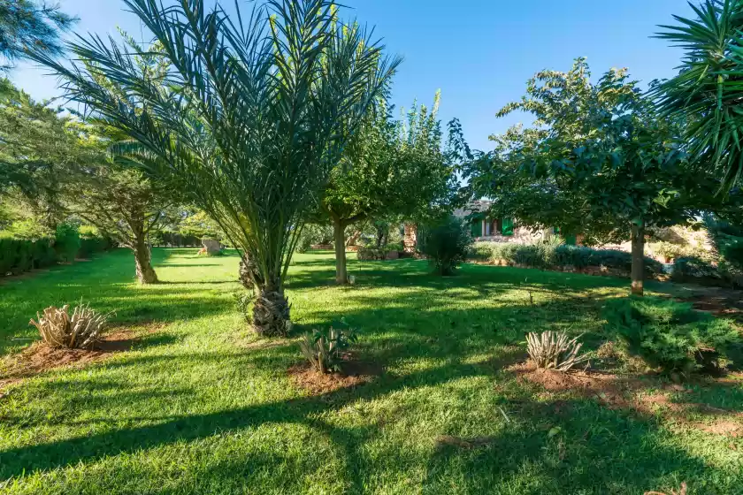 Ferienhaus auf Son barcelo mas olivera, Campos