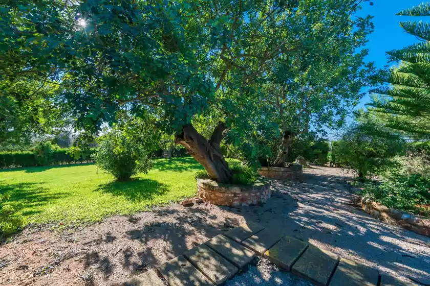 Ferienhaus auf Son barcelo mas olivera, Campos