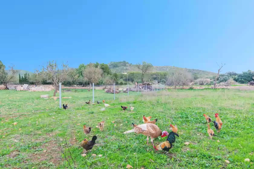 Alquiler vacacional en Casa es clonanell, Capdepera
