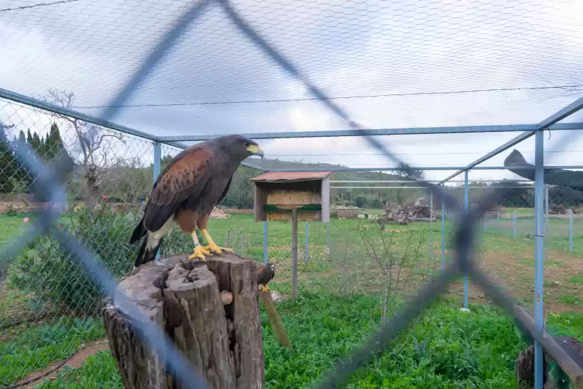 Alquiler vacacional en Casa es clonanell, Capdepera