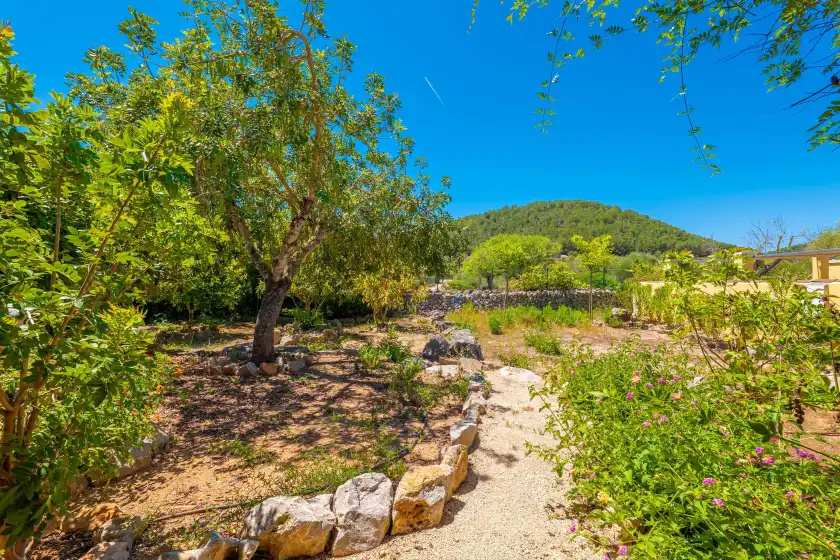 Holiday rentals in Ca na margalida, Cala Murada