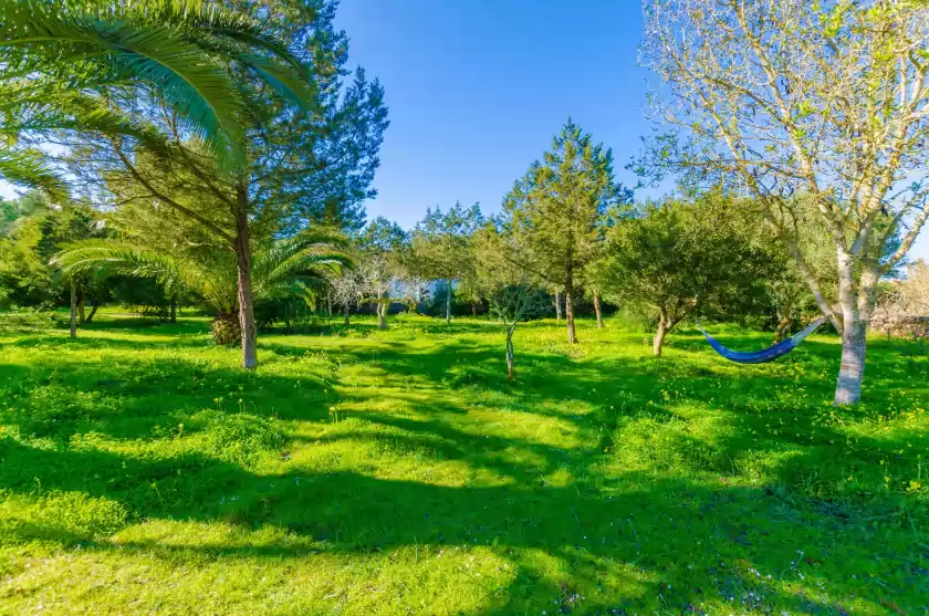 Holiday rentals in Can capulla 6, ses Covetes