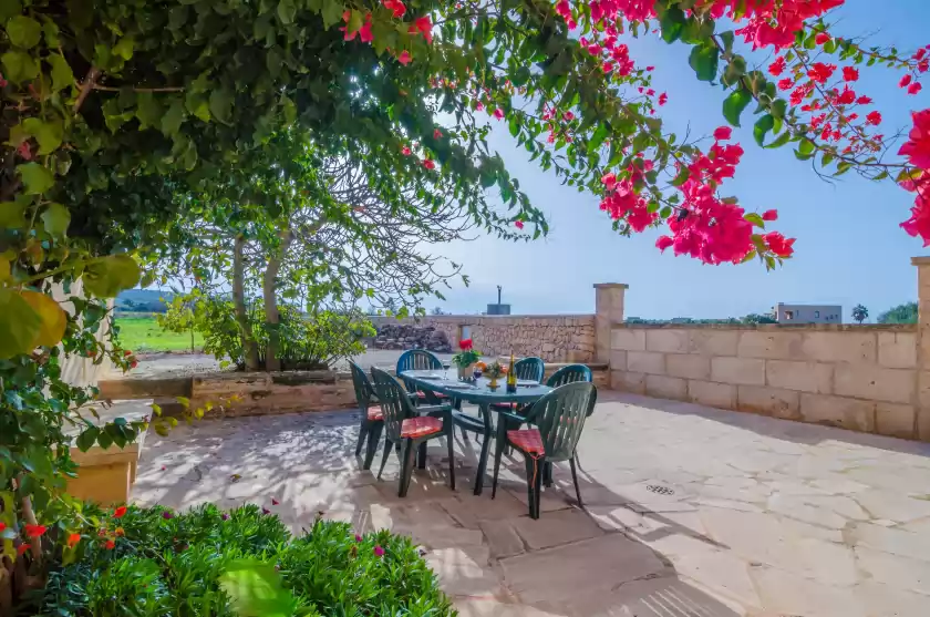 Holiday rentals in Son coves petit, Campos