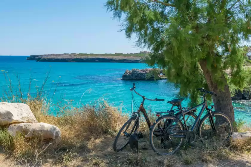 Alquiler vacacional en Cala rafalino, s'Illot-Cala Morlanda