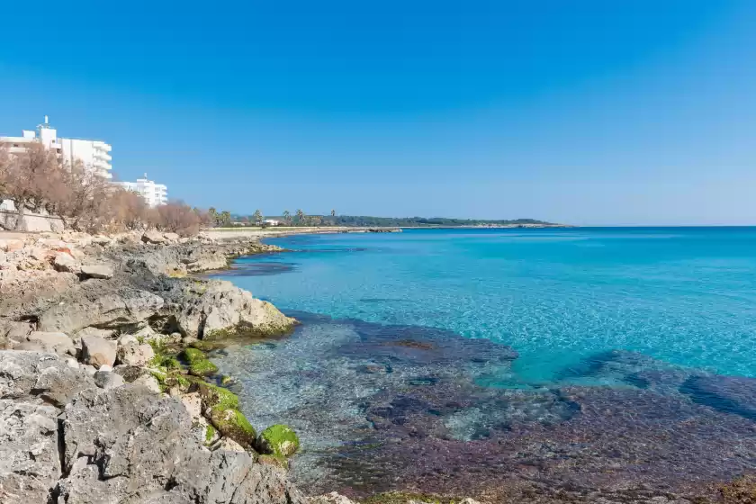 Holiday rentals in Rosa dels vents 2b, s'Illot