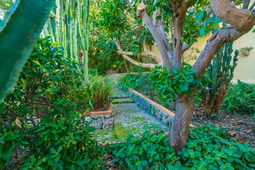 Location de vacances à Coste can moragues, Pollença