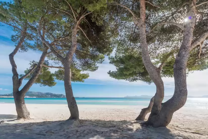 Alquiler vacacional en Apartamento edif. playa 1d, Platja d'Alcúdia