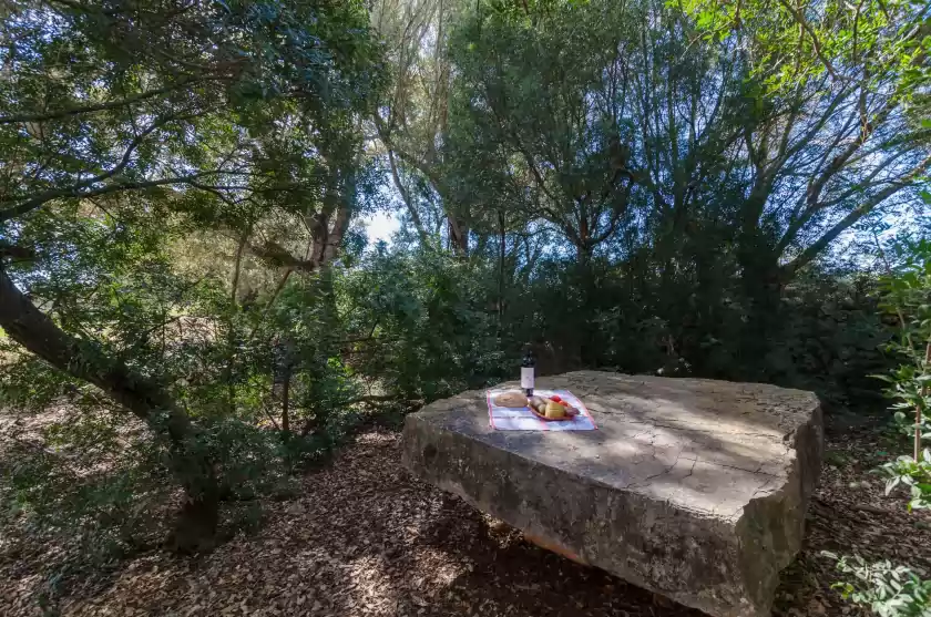 Holiday rentals in Son julià, Porreres