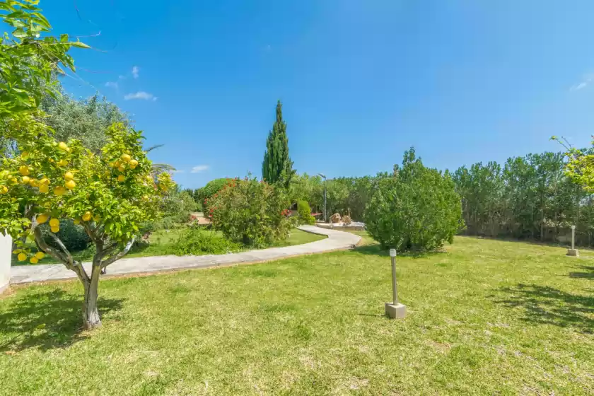Ferienhaus auf Finca miralles, Búger
