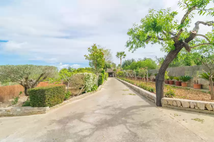 Ferienhaus auf Tramuntana (inca), Inca