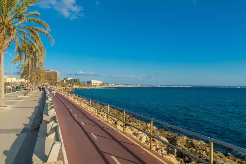 Alquiler vacacional en Evamas, Palma