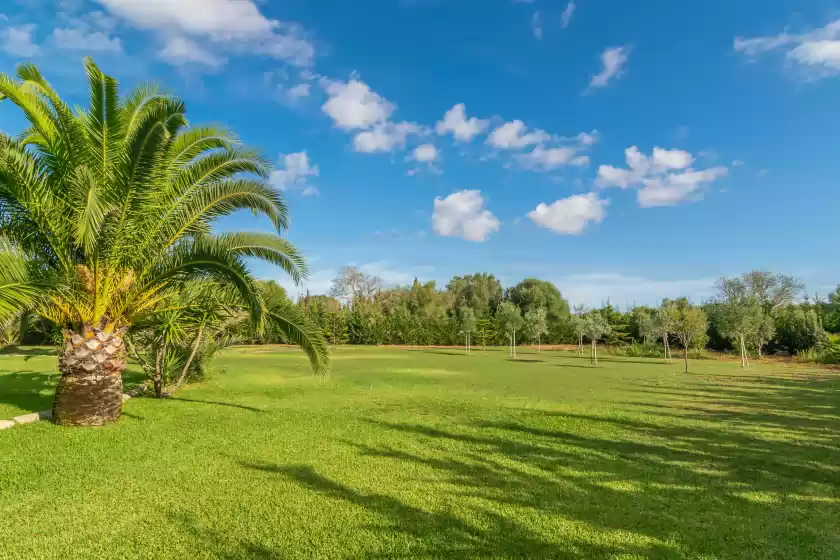 Ferienhaus auf Finca palmera, ses Salines