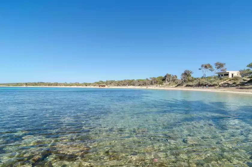 Ferienhaus auf Finca palmera, ses Salines
