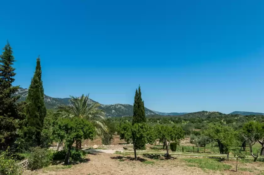 Ferienhaus auf Can pintat, Moscari