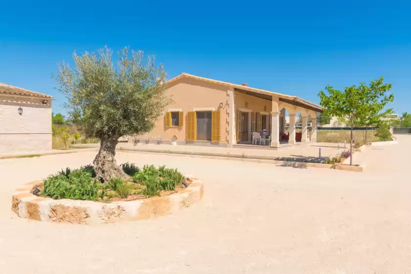 Ferienhaus auf Es cos, Campos