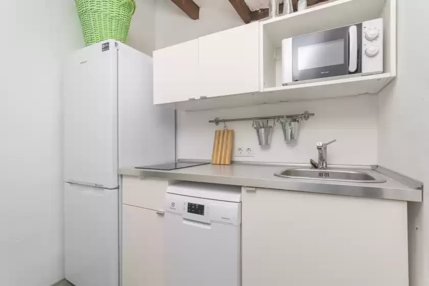 Holiday rentals in Cas sastret, Son Sardina