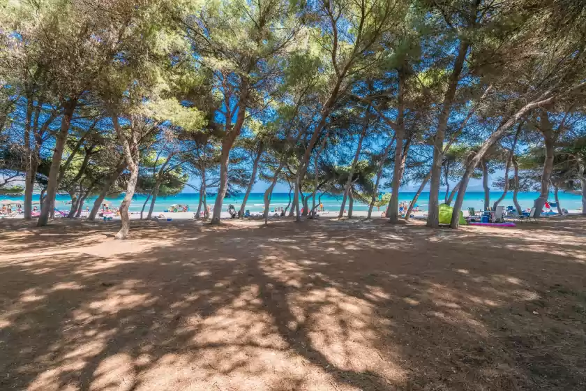 Holiday rentals in Ginesta 7, Port d'Alcúdia
