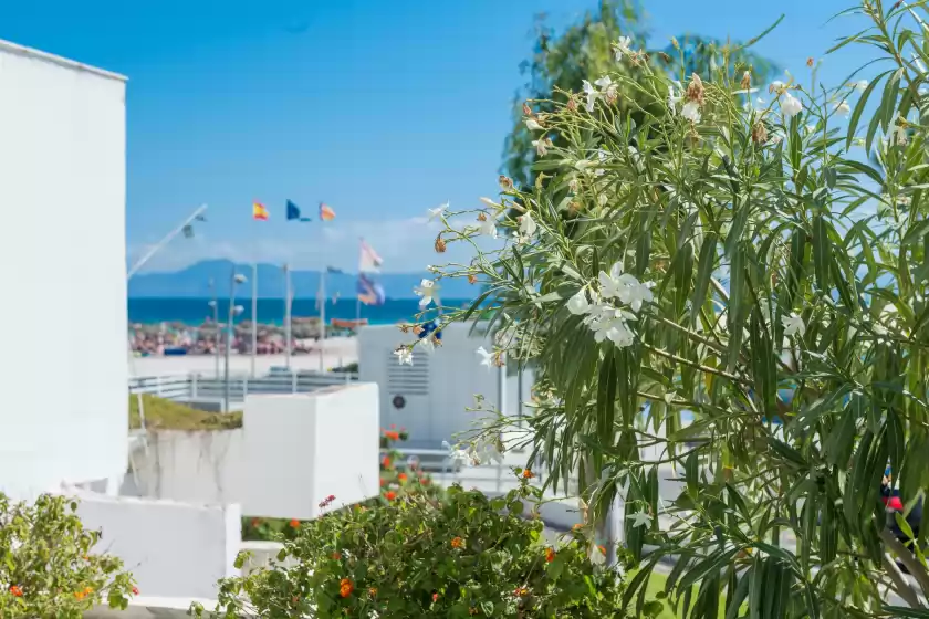 Ferienhaus auf Canopus paradise, Port d'Alcúdia