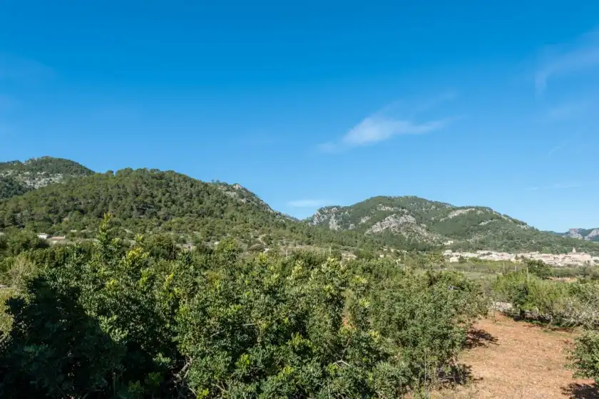Holiday rentals in Can rasca vuit, Caimari