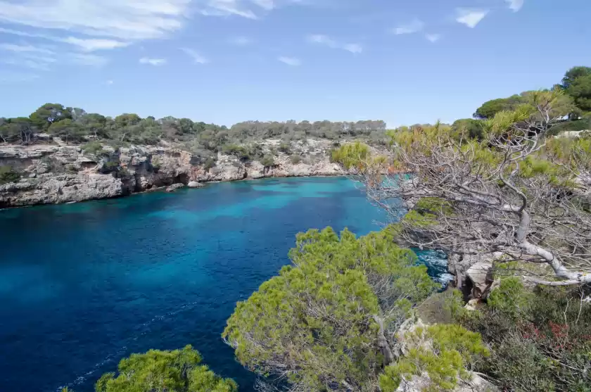 Ferienhaus auf Casa habana - adults only, Cala Pi