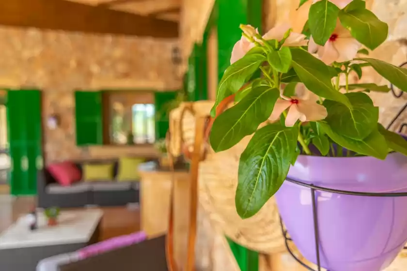 Alquiler vacacional en Los girasoles 4, Campos