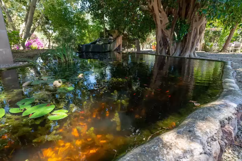 Ferienhaus auf Son tous, s'Alqueria Blanca