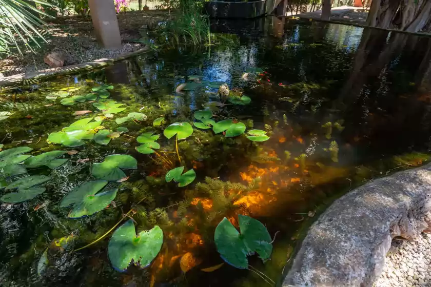 Ferienhaus auf Son tous, s'Alqueria Blanca
