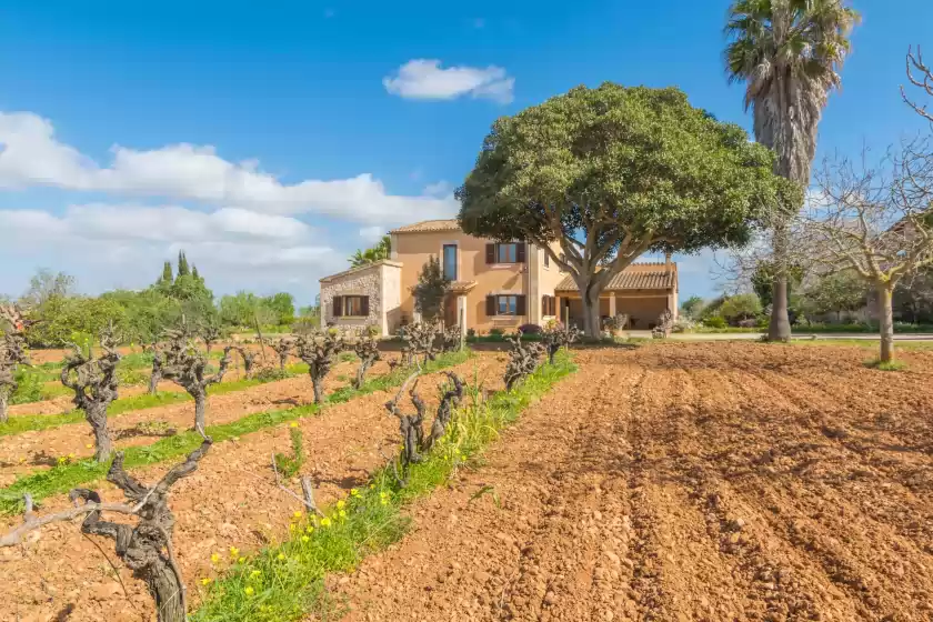Ferienhaus auf Darrere ses vinyes, Algaida
