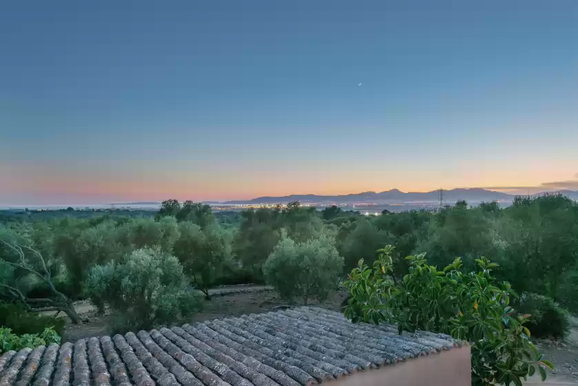 Holiday rentals in Son ferrer, Sant Jordi