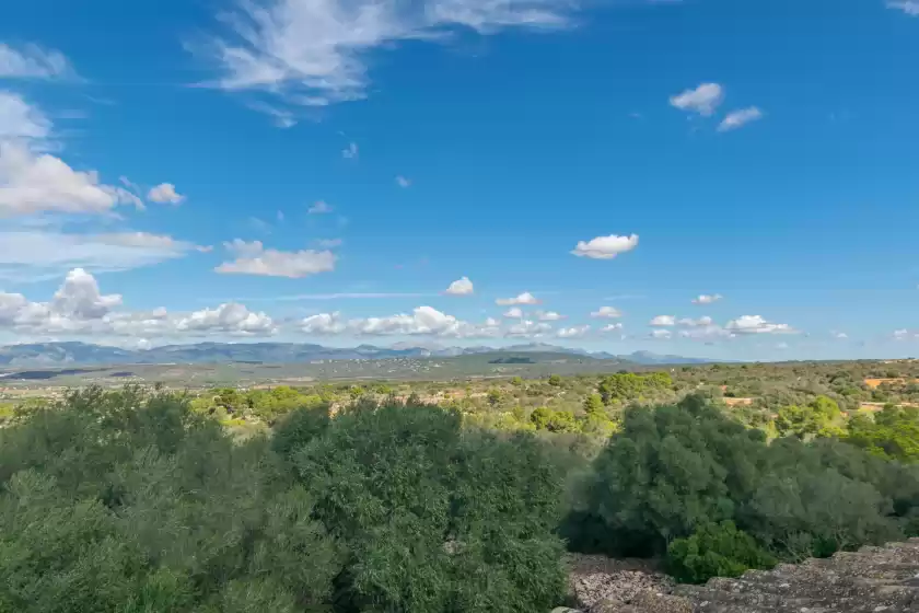 Holiday rentals in Son ferrer, Sant Jordi