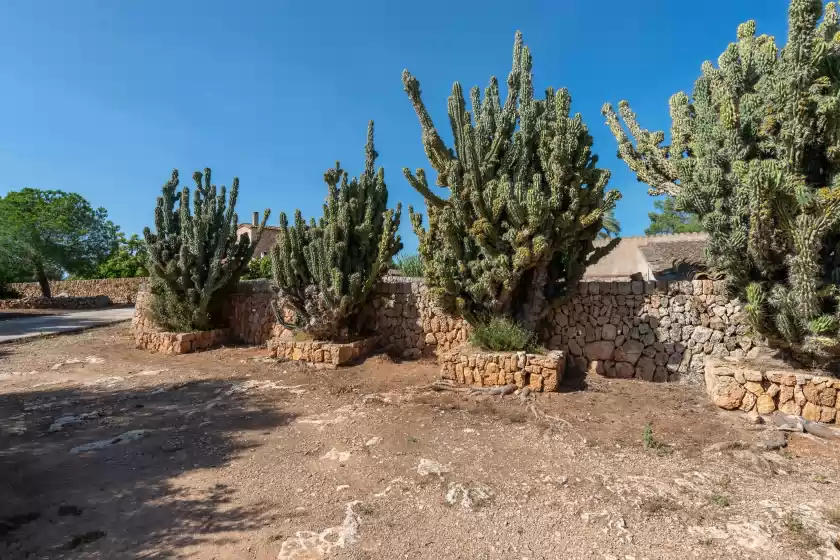 Holiday rentals in Son ferrer, Sant Jordi
