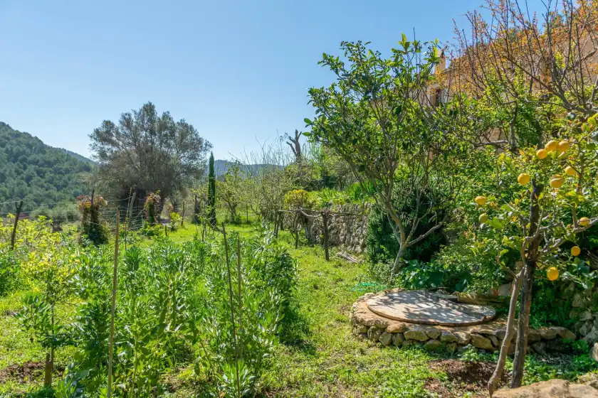 Location de vacances à Can peñes, Andratx