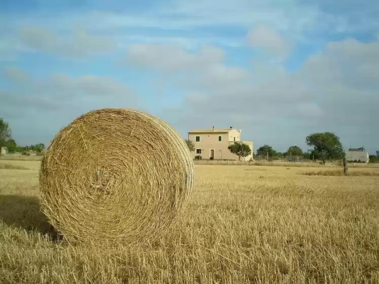 Ferienhaus auf Can queixa, Campos
