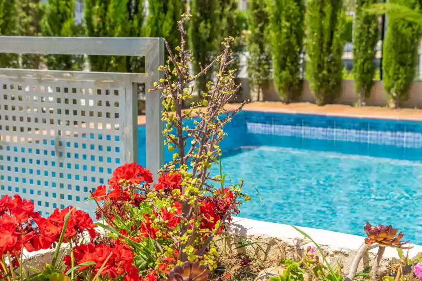 Alquiler vacacional en Apartamentos venecia vista mar, Port d'Alcúdia