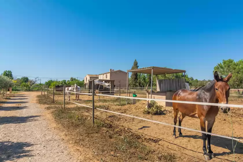 Alquiler vacacional en Lo den creus, Campos
