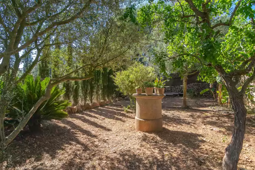 Alquiler vacacional en Lo den creus, Campos