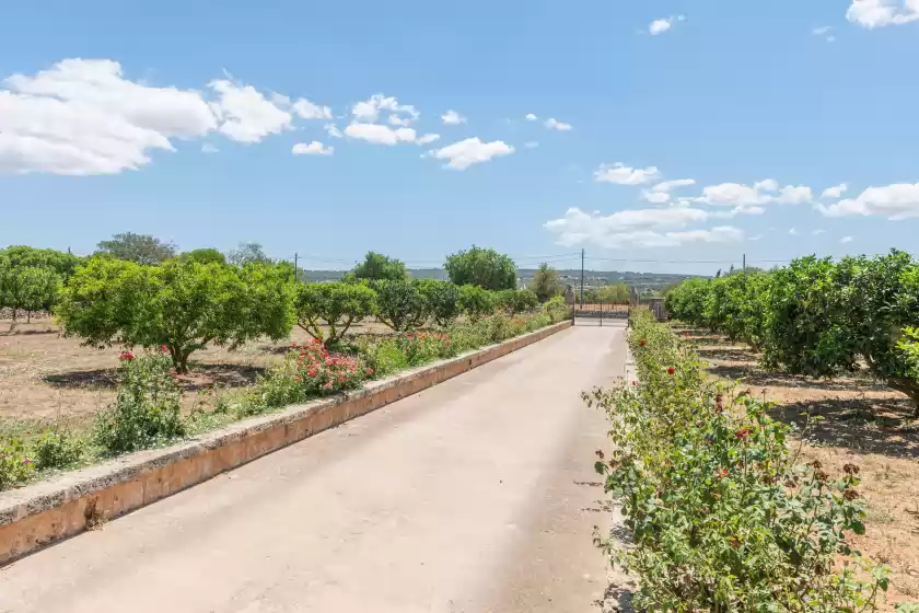 Alquiler vacacional en Sa garriga den darder, Ariany