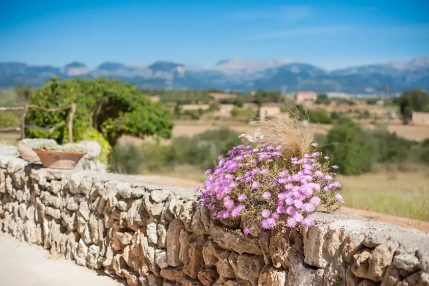 Holiday rentals in Sa tanca de can vicens 6, Sencelles