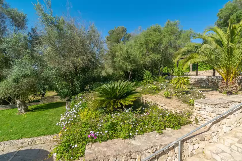 Alquiler vacacional en Son capellet, Petra