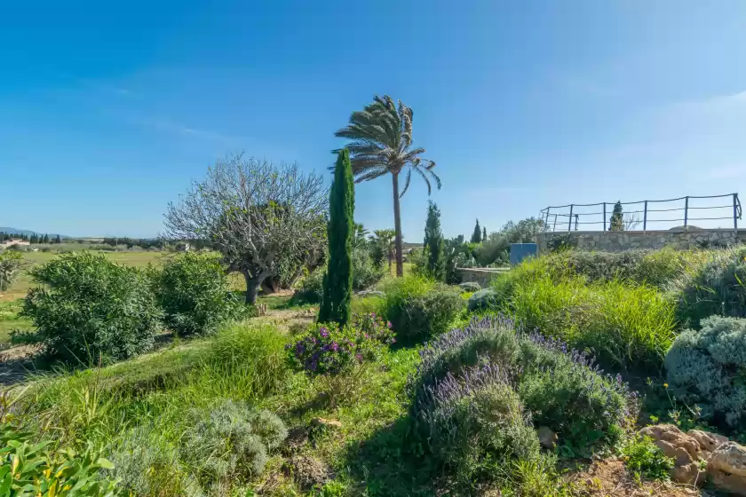 Alquiler vacacional en Santa eulalia (villa triay), Santa Margalida