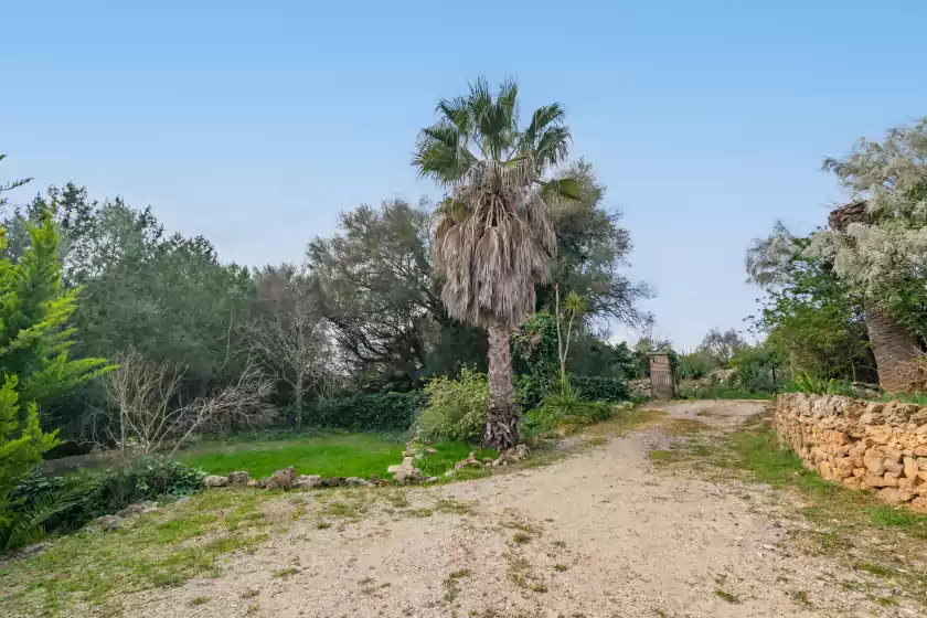 Alquiler vacacional en Monteverde, Ariany