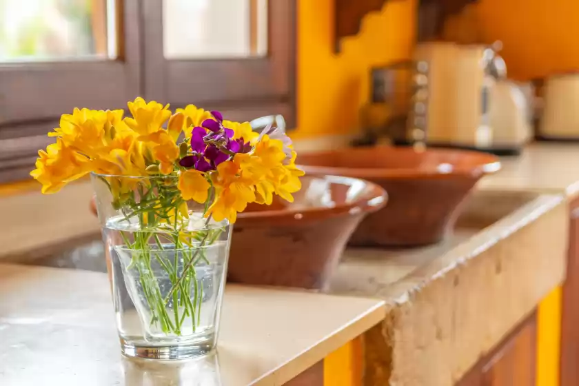 Holiday rentals in Petit son fiol, Alaró