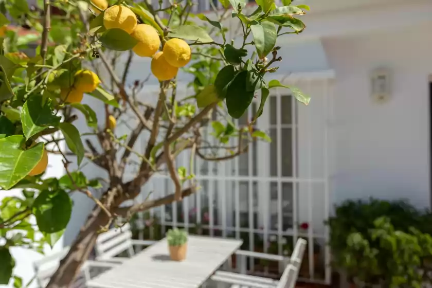 Ferienhaus auf Vistaverde, Málaga