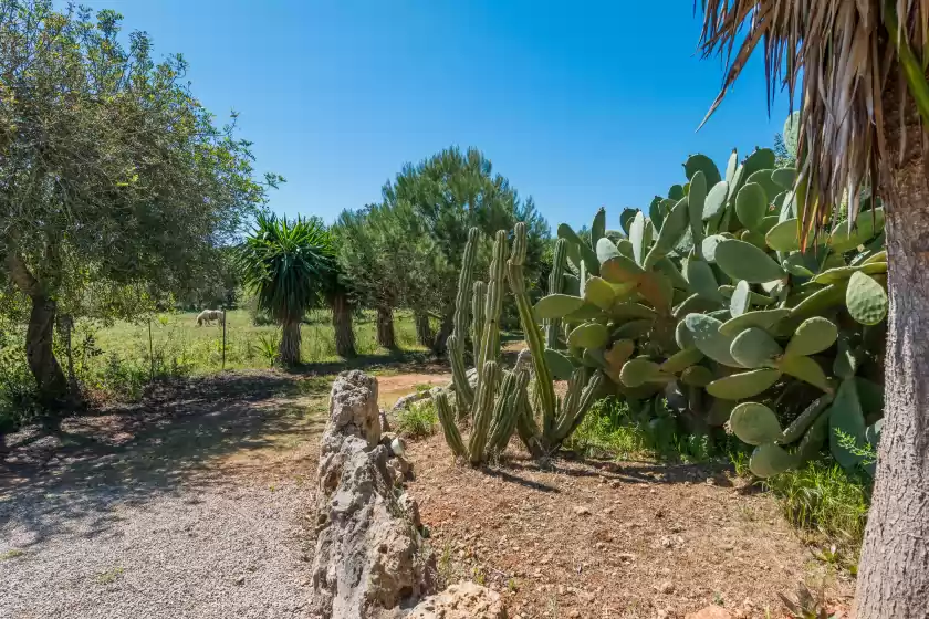 Ferienunterkünfte in Can rafalino, Inca