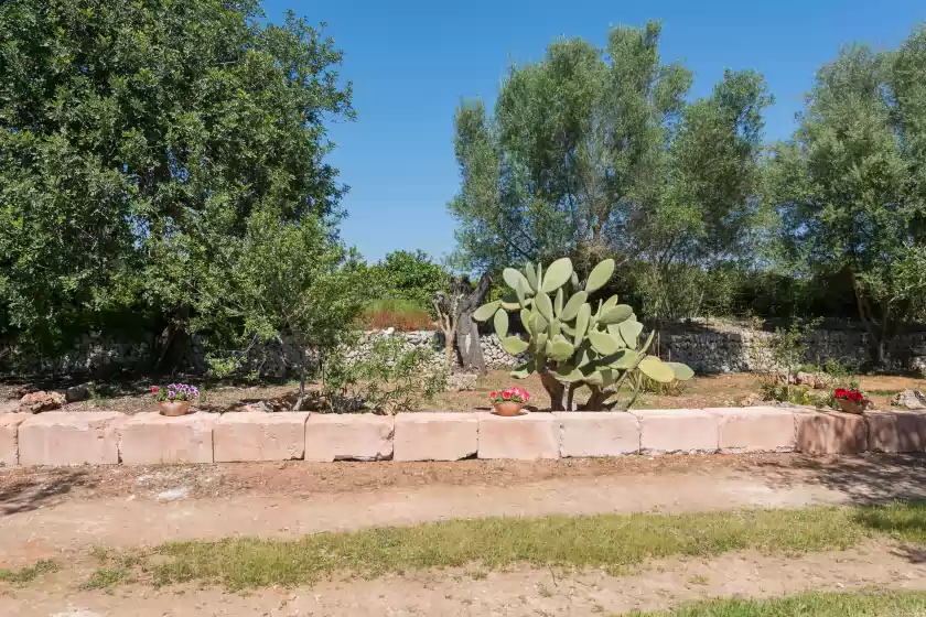 Ferienunterkünfte in Can rafalino, Inca