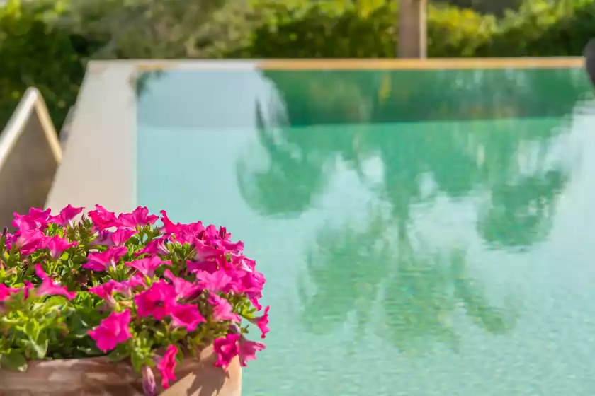 Alquiler vacacional en Casa canyot, Cala d'Or