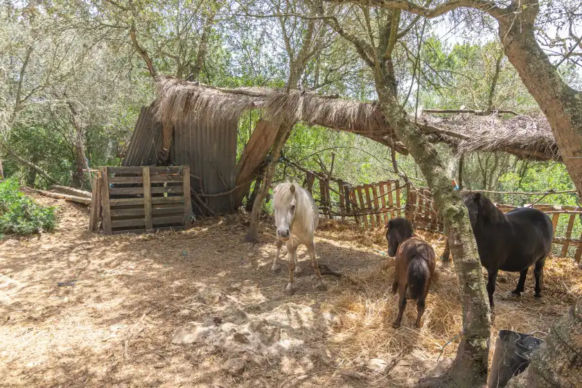 Ferienhaus auf Es fangar, Sineu